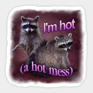 Hot Mess Raccoon Meme Sticker